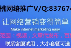 视频推广,揭秘高效推广策略与技巧